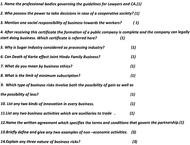 CBSE Class 11 Business Studies Question Paper Set E